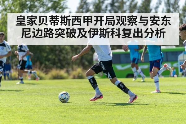 soccer team tactical training
